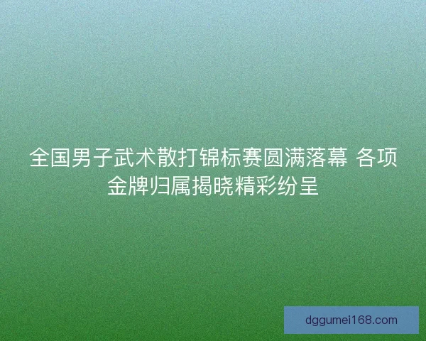 全国男子武术散打锦标赛圆满落幕 各项金牌归属揭晓精彩纷呈
